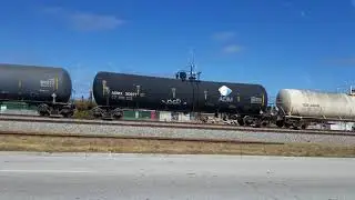 FEC 202 - 3/28/20 - MP 294