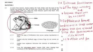G 12 Reproduction in vertebrates