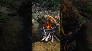 &ldquo;Fish Tikka Shorts | Spicy & Crispy Fish Recipe | Viral Food Shorts #shorts
