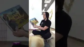 The Ugly Five- Part 1 Dogparentsindubai
