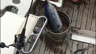 伊豆大島元町港