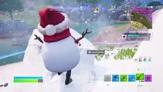 Fortnite_ Dude Lost By The Storm