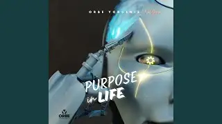Purpose in Life