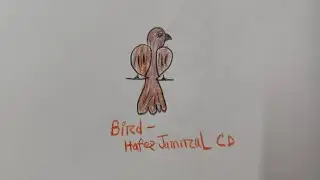 How To Drawing Easy Bird - And Colouring - Hafez Jamirul Cd