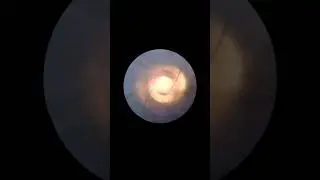 Waffenlauf Handfeuerwaffe Langwaffe Faustfeuerwaffe Kurzwaffe Schusswaffe Feuerwaffe AVA-INFO