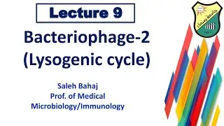 9- Bacteriophage -2 ( Lysogenic cycle)