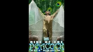 Best of Dalton Castle: Volume 2