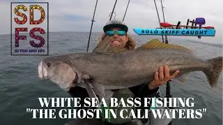 Incredible Solo Skiff Fishing White Sea Bass Caught While Trolling A Nomad In La Jolla California