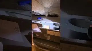 Убедитесь, что ваш инспектор по недвижимости осматривает квартиру изнутри. #ИнспекцияДома #переез...