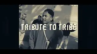 TRIBE CALLED QUEST TRIBUTE - Es  - Tribute to Tribe (BeatChef Remix)