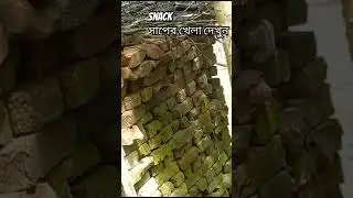 সাপের খেলা দেখুন | #oman | snack video সাপের ভিডিও #@deshbidesh | #blog video