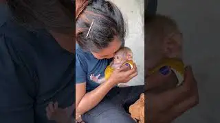 Mom Warmly Baby Mason By Kissing