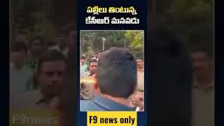 KTR SON HIMANSHU RAO STREET FOOD || exclusive video ||