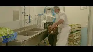 Du champ &agrave; l'assiette : des l&eacute;gumes pour nos &eacute;coles !