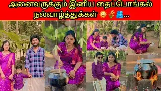 அனைவருக்கும் இனிய தைப்பொங்கல் நல்வாழ்த்துக்கள் 🌞🌾🫂../PKR family/tamil vlogs 