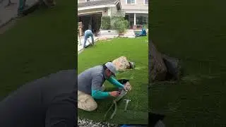 Front yard artificial grass installation. #landscaping