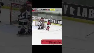 Brynn Secor gets the power play goal for the Loons against Windy City Storm #hockey #goals #sports