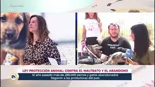 Hoy en DIRECTO en RTVE / Fundaci&oacute;n Animal Rescue