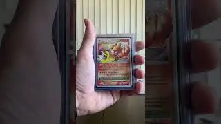 Pok&eacute;mon LV. X Collection