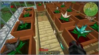 Rowecraft S1Ep18 - Colony update
