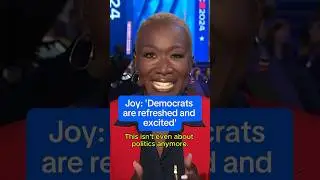Joy: 'Democrats are refreshed and excited'