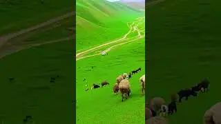 Beautiful Faryab Province in Afghanistan  #afghanistan #faryab #viral #reels #afghan #reels #kabul