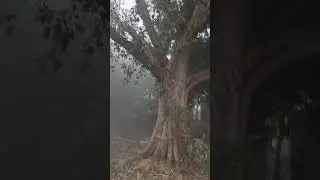 First journey in 2026 to my village in the winter season #new #journey #winter #season 