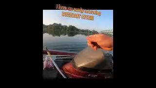 My favorite BUZZ is a BUZZBAIT BITE early in the morning! catching a smallmouth bass while fishing!