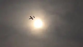 Bhopal-based Aryavart Technologies has delivered the first batch of #Arya UAVs to the #iaf #shorts