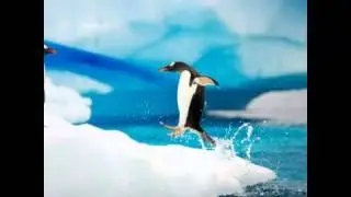 Linux