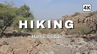 Hiking in Hatta Near Archaeological Graves | Nature, History & Mountain Trails UAE