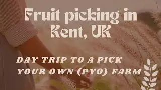 Pick Your Own - Fruit Picking Adventure in the Kent, UK