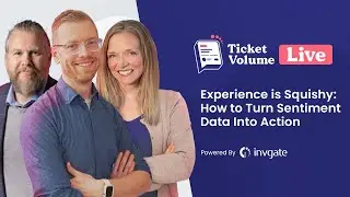 Experience is Squishy: How to turn sentiment data into action