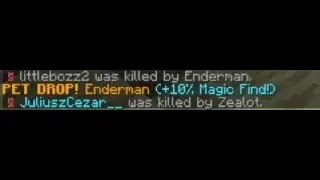 Getting Legendary Enderman Pet in Hypixel Skyblock
