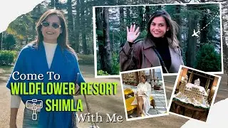 Come to Wild Flower Resort, Simla with me | Dipttii Khanna Designs