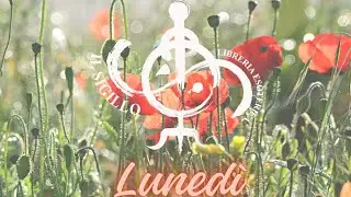 I Consigli del Luned&igrave;: Karma e Rinascita nel pensiero indiano di Wilhelm Halbfass