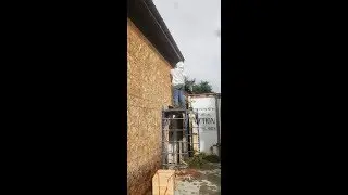 Honey bee cut out- Roof Eves
