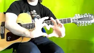 Chitarra 12 corde: 10 modi diversi di suonarla.
