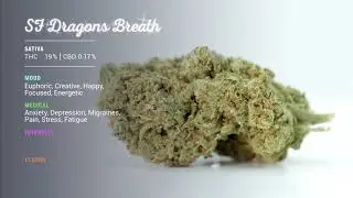 SF Dragons Breath...
