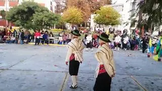 Chaku de vicuñas - Educación 2019
