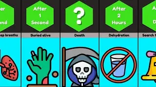 Timeline :  What If You Were Buried Alive
