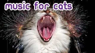 EXTENDED Firework Noise Anxiety Music - FOR CATS!