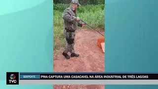 PMA captura cascavel na área industrial de três lagoas