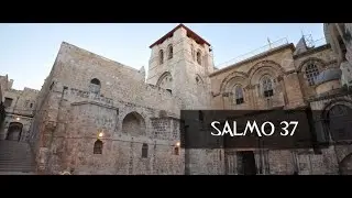 Salmo 37 Biblia (NTV) Nueva Traducci&oacute;n Viviente Hablada ((Letra))