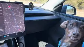Tesla Road Trip FL to GA: 650 Miles in 2026 Model Y Juniper - FSD, Buc-ee's, 2% Nail Biter Arrival