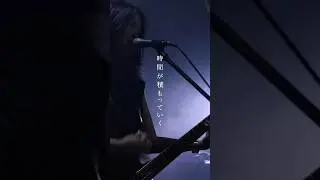 新世界/Hello Sleepwalkers 📸PLAYROOOOM「寝室編」 #邦ロック #バンド #ライブ