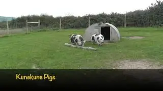 Axe Valley Wildlife Park (3rd October 2014)