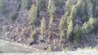 For Dear Viewers Enjoy the beauty of Kashmir at your home far from here ❤❤❤