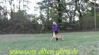 Race vom Rheurdter Land