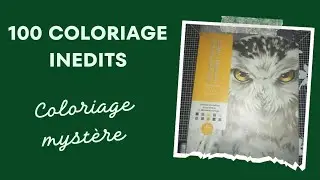 { flip through} 100 COLORIAGES INEDITS coloriage myst&egrave;re